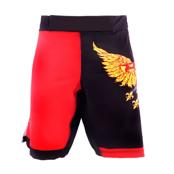Boxing and MMA Shorts factory samples from Aphax Traders