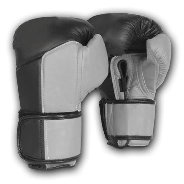 Boxing Gloves BG-1035 — Boxing Gloves SKU BG-1035 from Aphax Traders